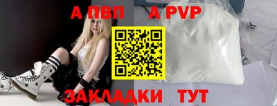 кокс Кингисепп