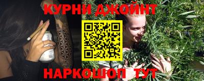 кокс Кингисепп
