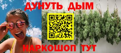 кокс Кингисепп