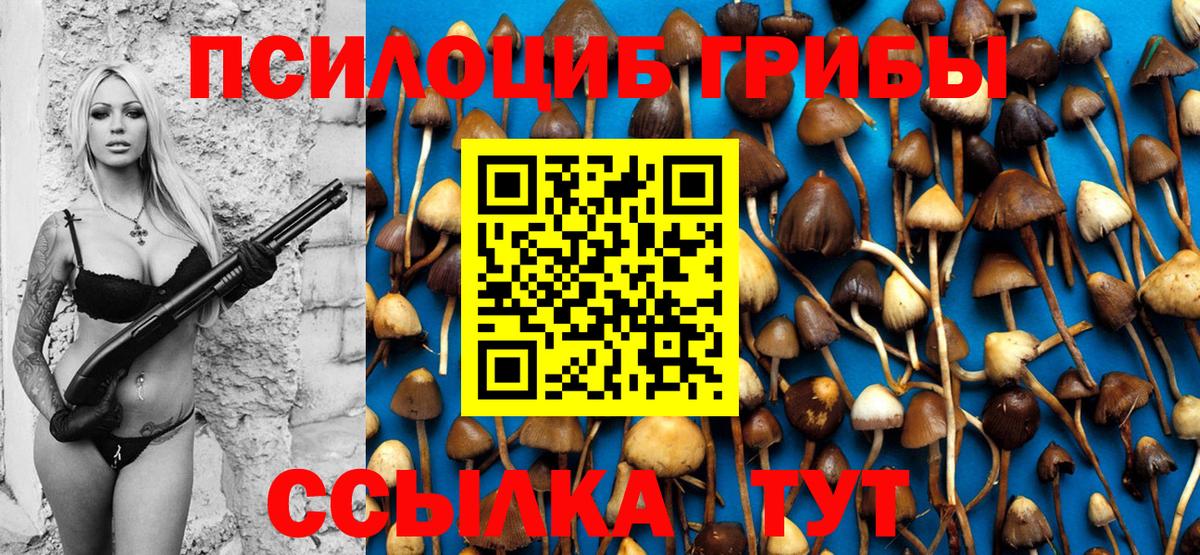 Псилоцибиновые грибы Magic Shrooms  Галлюциногенные грибы Psilocybe  Вход с VPN  Краснотурьинск 