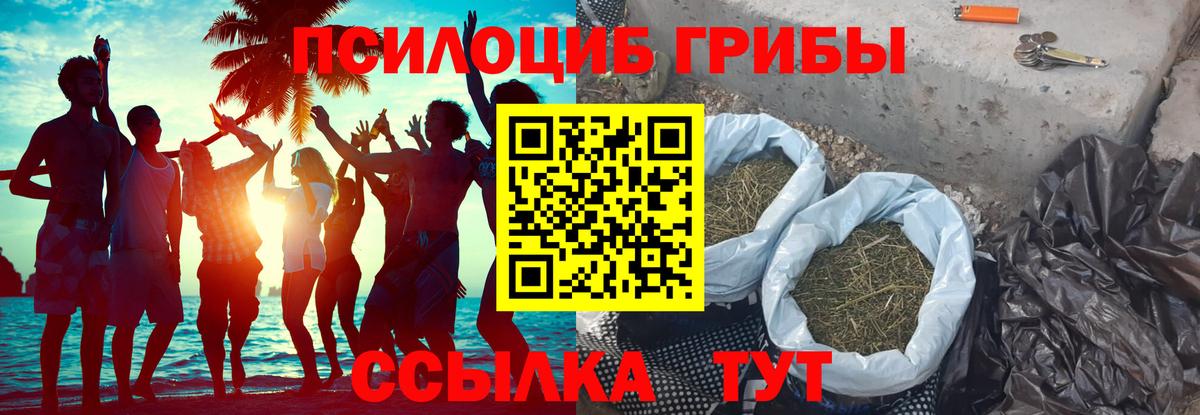 Галлюциногенные грибы MAGIC MUSHROOMS Краснотурьинск